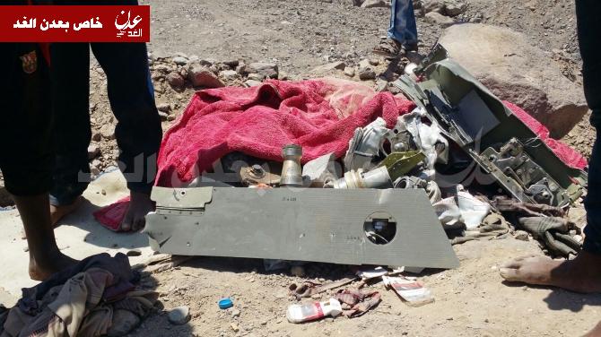 الإمارات تعلن فقدان إحدى طائراتها المقاتلة في اليمن  1457950489_YL