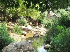 Ein Dorf in Israel lebt streng Vegan!! Tsalmon_creek