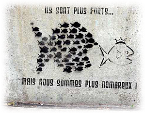 Révolution, évolution,destruction ?  sondage Gros-poisson-mange-le-petit-poisson-2