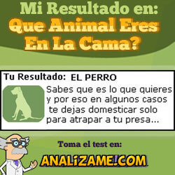 Que animal eres en la cama? test T_cama_perro