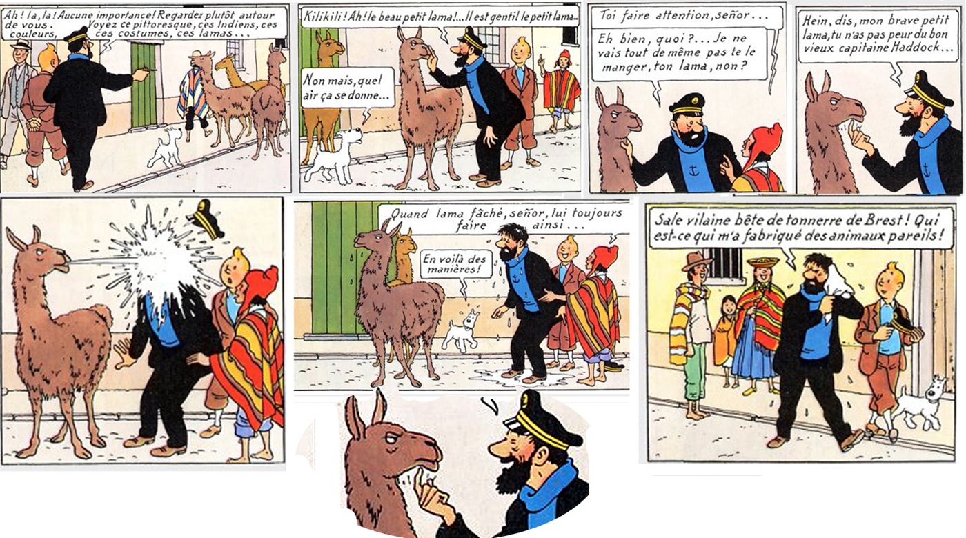 BANDES DESSINEES TINTIN ET MILOU 002a