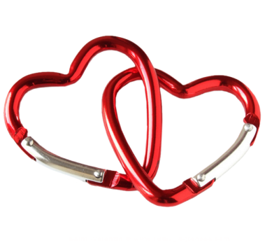 tube coeur  A5a52039