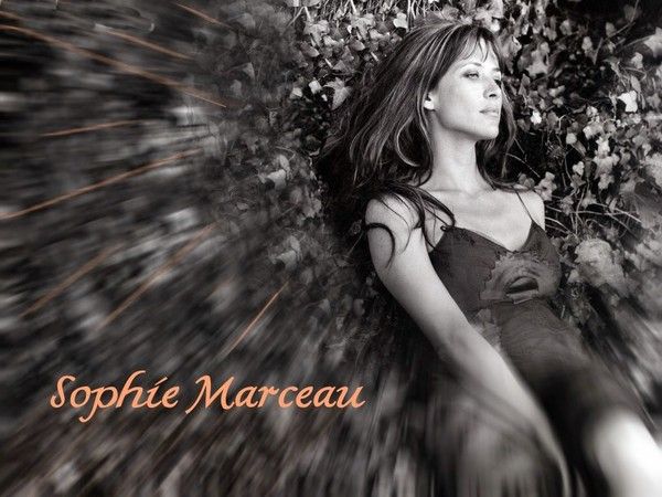 fond d'écran sophie marceau F2d6be96