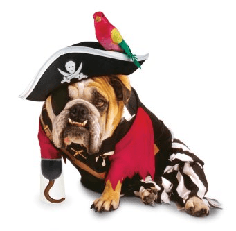 EL HILO DE LOS AMIGUETES XII Disfraces-para-perros-Halloween-2009-pirata