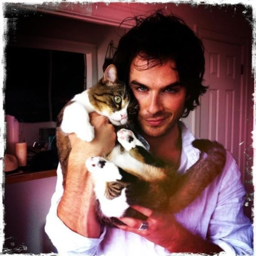 Ian Kraft - Página 3 Ian-somerhalder-cat