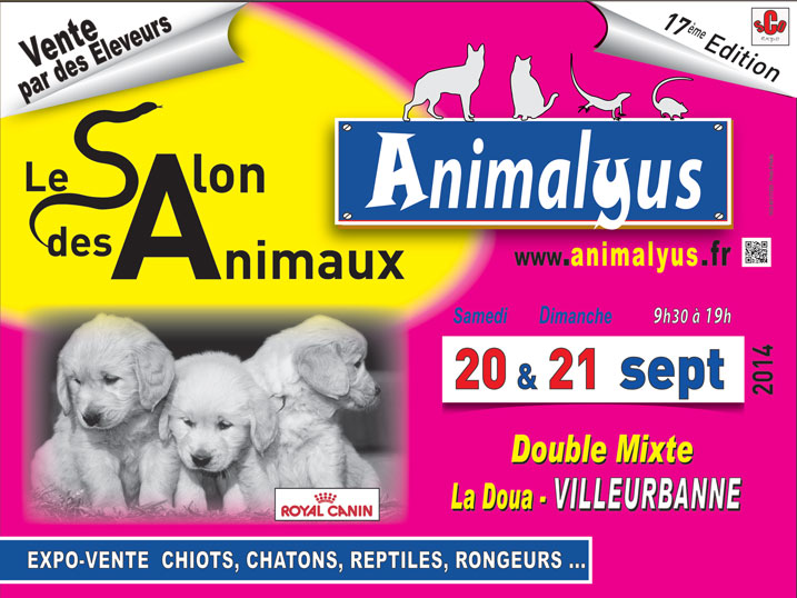 BOURSES 2010 - Page 2 Affiche