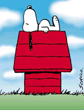 Le Beagle Snoopy