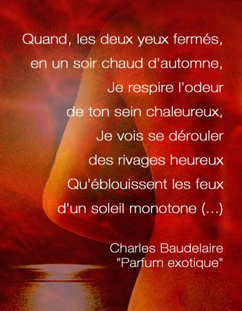 Belles phrases ... - Page 11 Gympg3ss