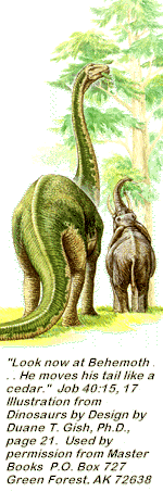 El Misterio de los Dinosaurios por fin revelado Behemoth2