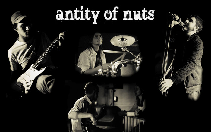 Antity Of Nuts