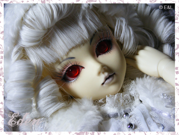 [ VOLKS ] F05 (old F08) Eden45