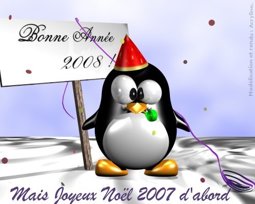 Bonnes et heureuses fêtes de fin d'année. BonAn2008