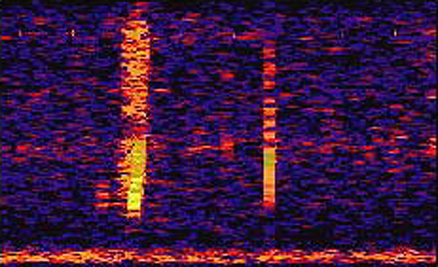 Misterios del mundo I: El Bloop Bloop_noaa_big