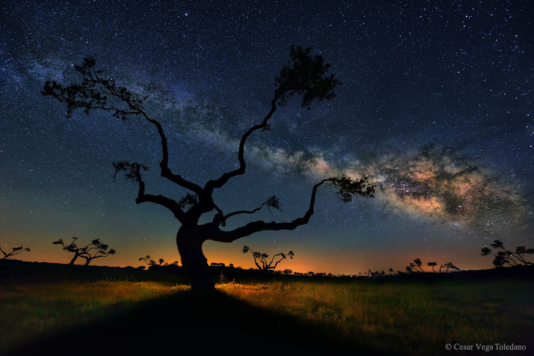 005 - APOD - SVIBANJ 2015. MWTree_Toledano_1080