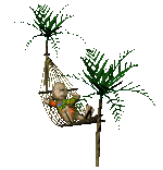 Cảm Cười...chơi - Page 31 Gardening-hammock-between-palm-trees-animation-S9Cx