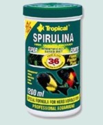 que donner vous a vos cichlidés Tropicalspirulina