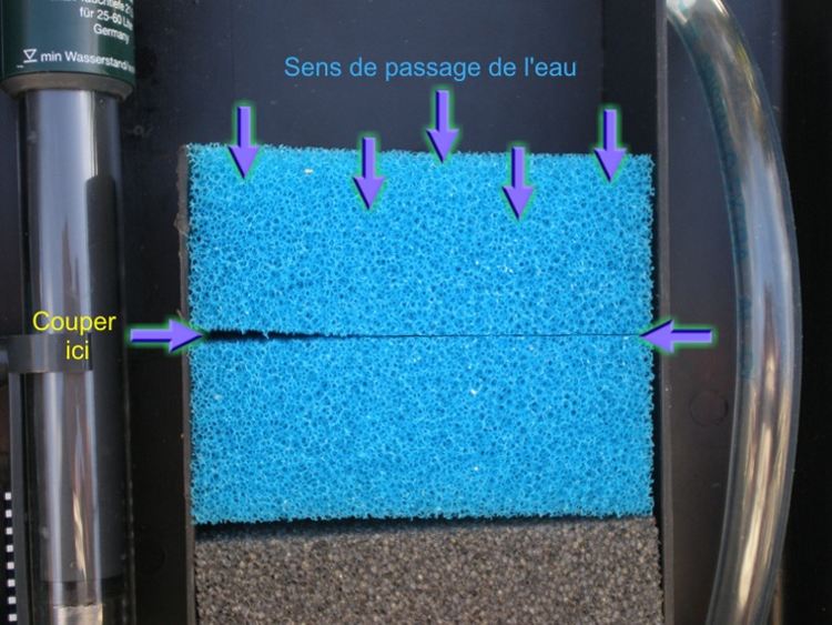 SOS SCHEMA FILTRATION !!! Mousse%20coupee