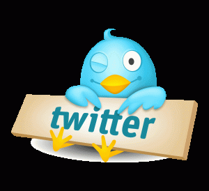 حصربا شرح انشاء ايميل على هوت ميل و الياهوو+و جوجل +و الفيس بوك+تويتر+ ويوتيوب+وايميلات اخرى Twitter-logo-bird-300x274
