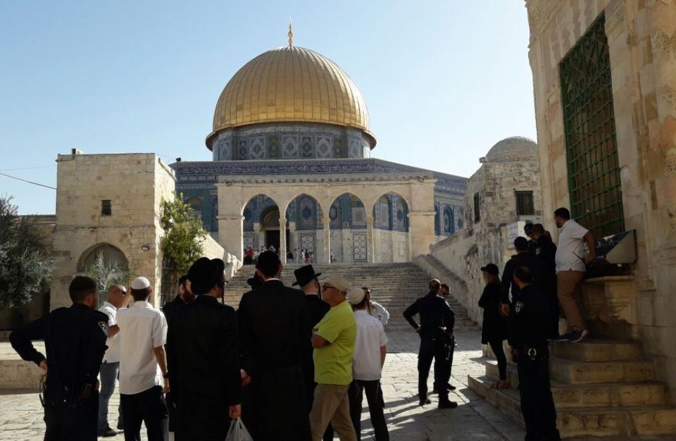 بالصور - مستوطنون يهود يدنسون المسجد الأقصى بلباس الصلاة 5