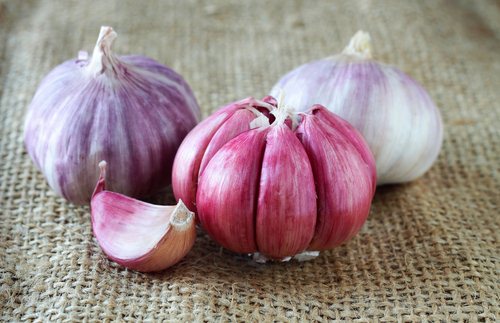 صور النبات الاحمر - صفحة 2 Red-garlic-1