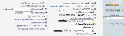 اربع خطوات للقضاء على مشكلة ترميز اللغة فى Mysql Post-172251-1224507697_thumb