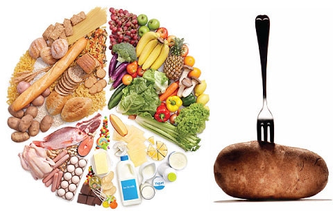الحمية الغذائية منخفضة الكربوهيدرات الأفضل في حرق السعرات الحرارية Health2.690210