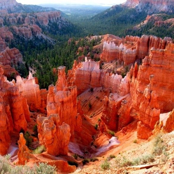 CEDAR BREAKS NATIONAL MONUMENT 0d8431ee