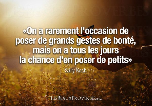 Petites citations et proverbes A519332d