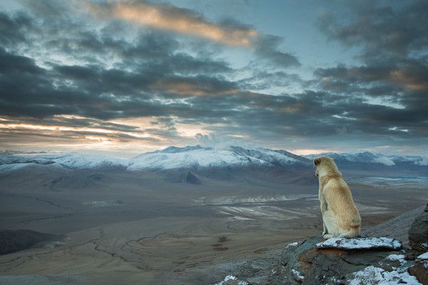 PHOTOGRAPHES : SEBASTIAN WAHLHUETTER Ab93a750