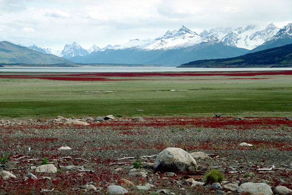 Cristina y Chávez ya están en El Calafate - Sur de Argentina Patagonia-landscape-el-calafate