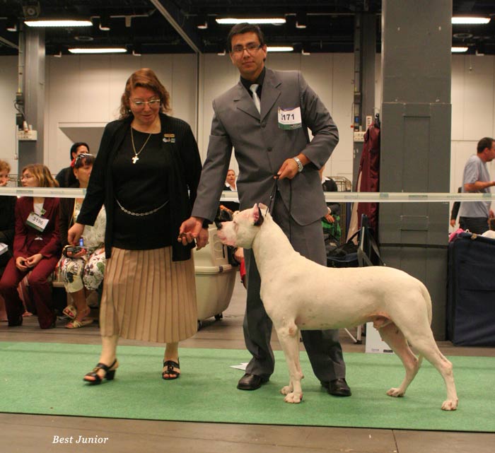 WORLD DOG SHOW - informace sem, prosm - Strnka 2 IMG_3367-WW-08