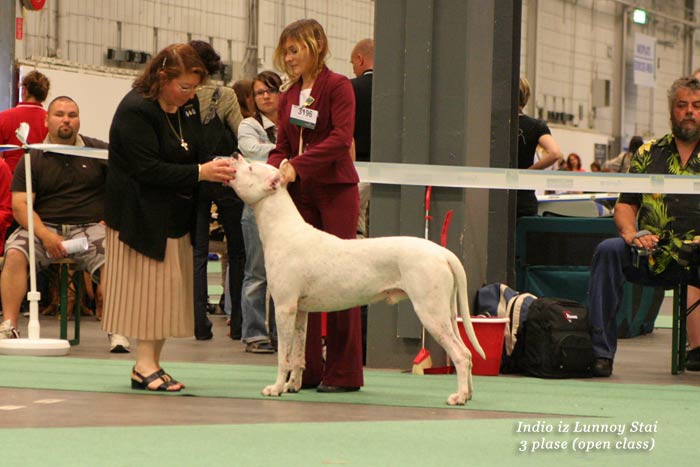 WORLD DOG SHOW - informace sem, prosm - Strnka 2 IMG_3421-WW-08