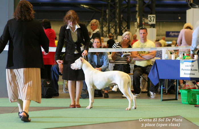 WORLD DOG SHOW - informace sem, prosm - Strnka 2 IMG_3737-WW-08