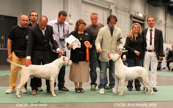 WORLD DOG SHOW - informace sem, prosm - Strnka 2 IMG_3799-WW-08