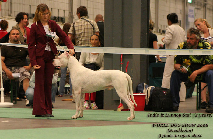 WORLD DOG SHOW - informace sem, prosm - Strnka 2 Indio-18