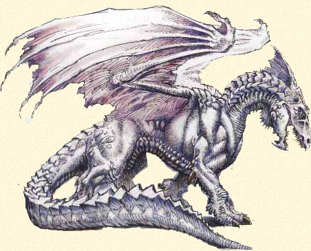Vos Dragons _dragonblanc