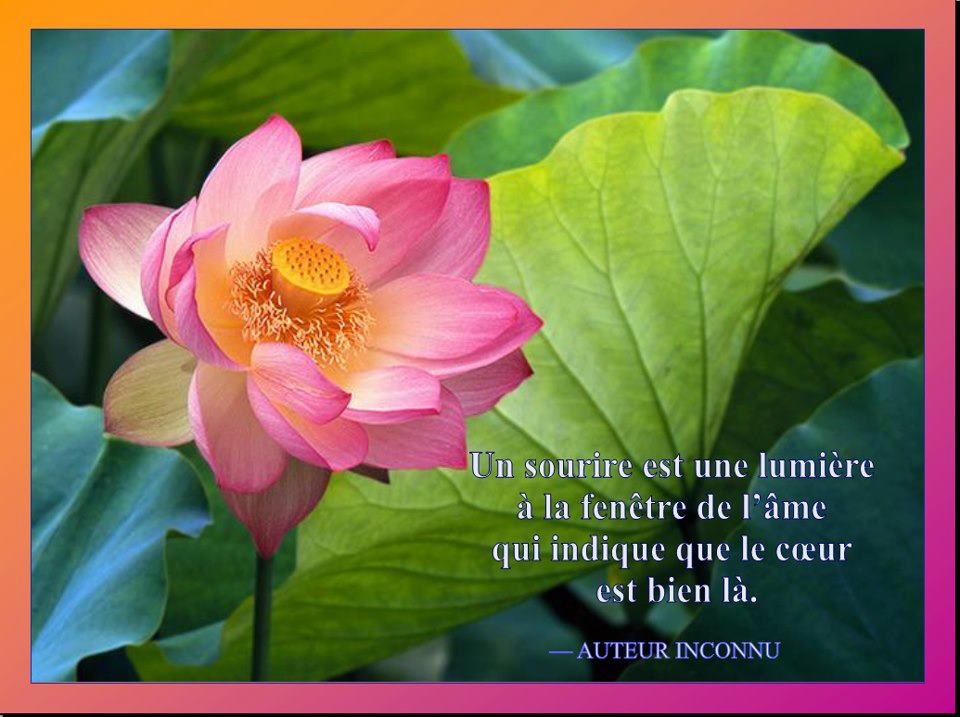 Petites citations diverses 9127845b