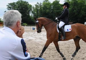 MEPHISTO 13 ans cheval suedois hongre montable - placé hors association 20080623_DNA007283