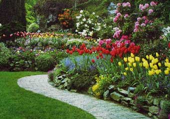 Descripcin: Jardines Traseros Flores