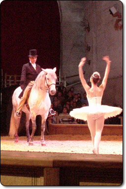 L'image... 1_danse_cheval