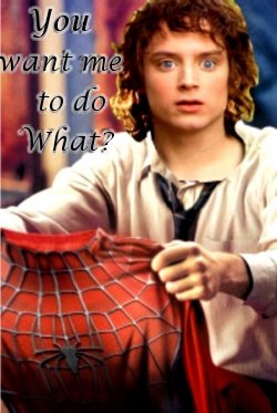 Images en tout genres Spiderman_Frodo