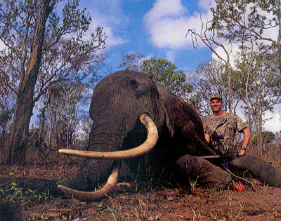 La connerie humaine n'a aucune limite avec les animaux ! Elephantsteve