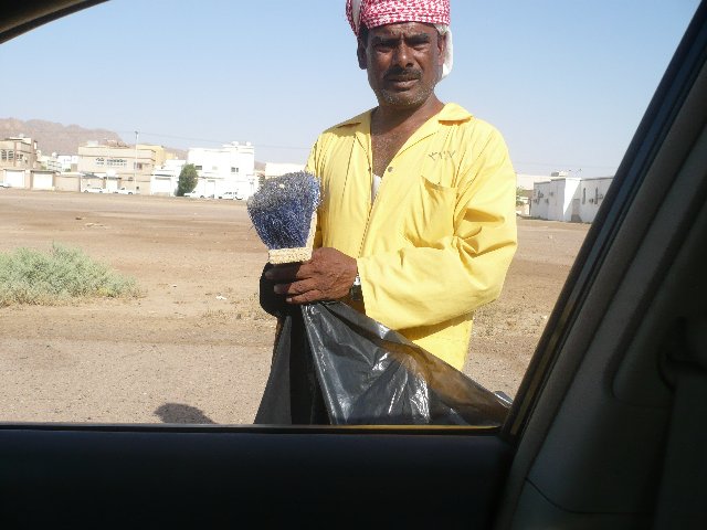  سعودي يطعن عاملا حتى الموت لتباطئه بالتنظيف أمام منزله  Imgid136936
