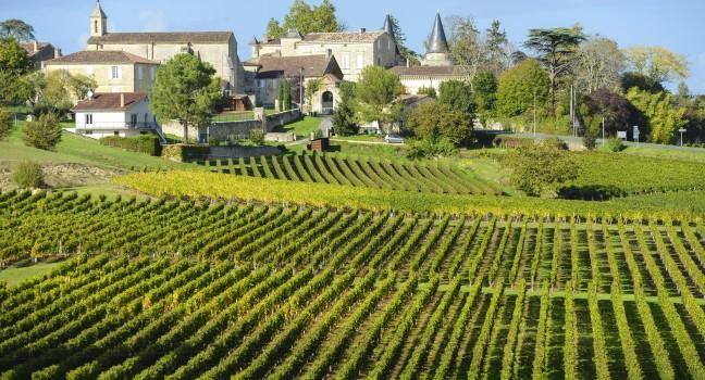 Francuska  - Page 4 Vineyard-saint-emilion-bordeaux-and-the-wine-country-france_main
