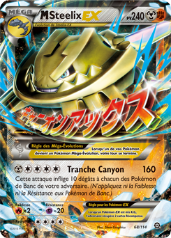 Votre collection de cartes Pokémon (JCC) XY11_FR_68