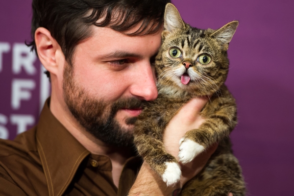 Lil_Bub