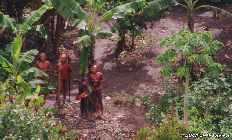 Imágenes de Indígenas no contactados de la frontera entre Brasil y Perú  Uncontacted-footage-thumb-01_article_large