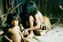 Découverte d’une tribu isolée en Amazonie BRAZ-AWA-FW-08A_news_medium