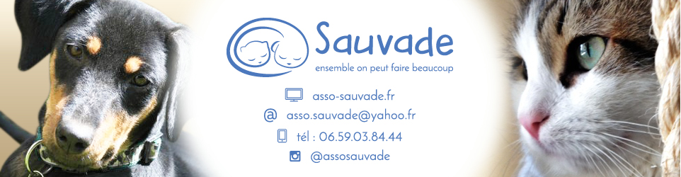 SAUVADE