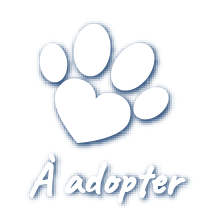 À adopter